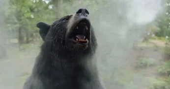 O Urso do Pó Branco estreia acima das expectativas nas bilheterias