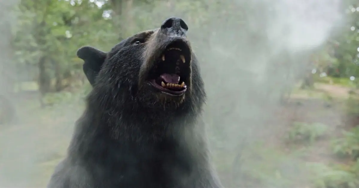  O Urso do Pó Branco estreia acima das expectativas nas bilheterias